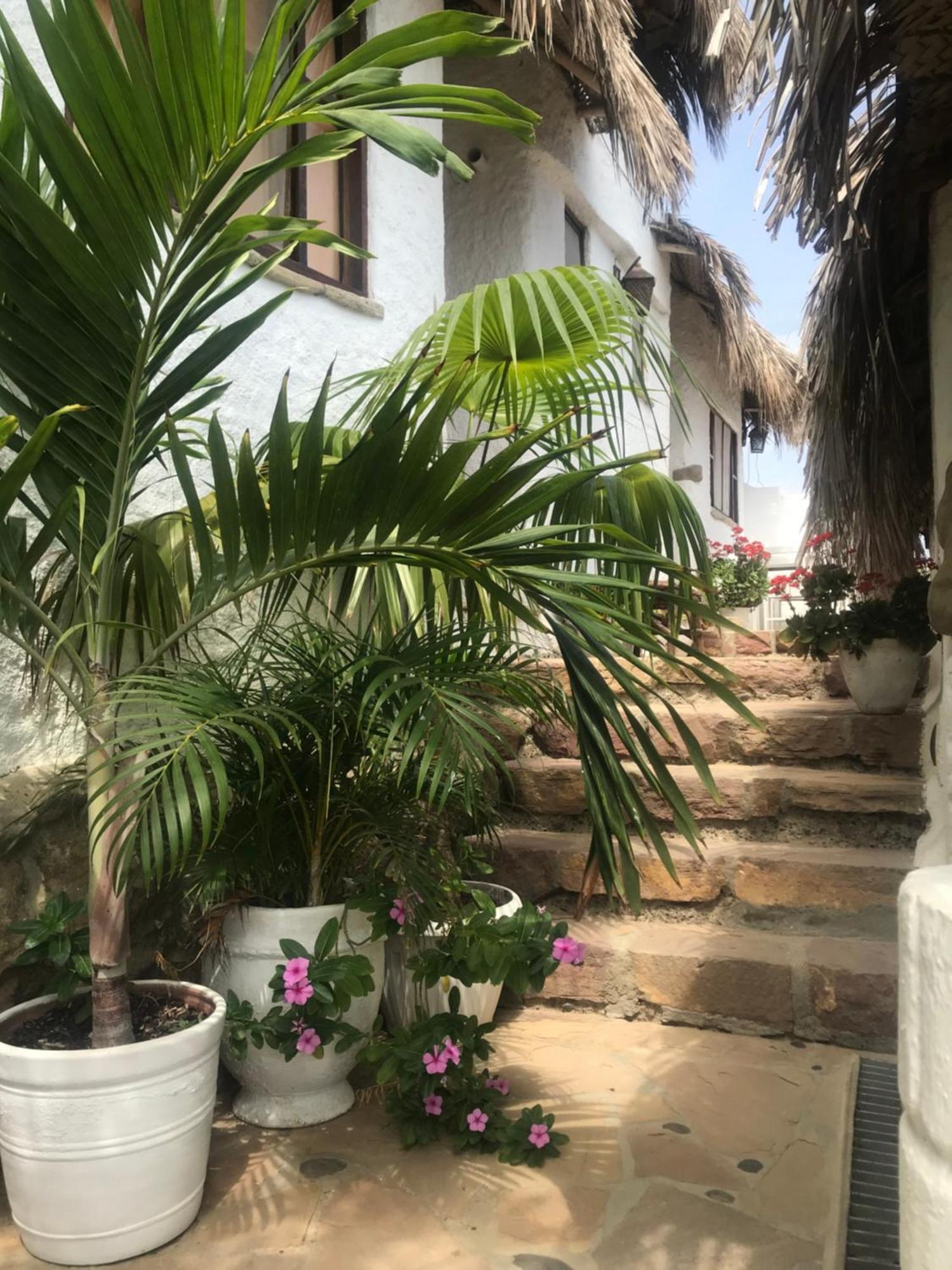 Hotel Smiling Crab Canoas de Punta Sal Exterior foto
